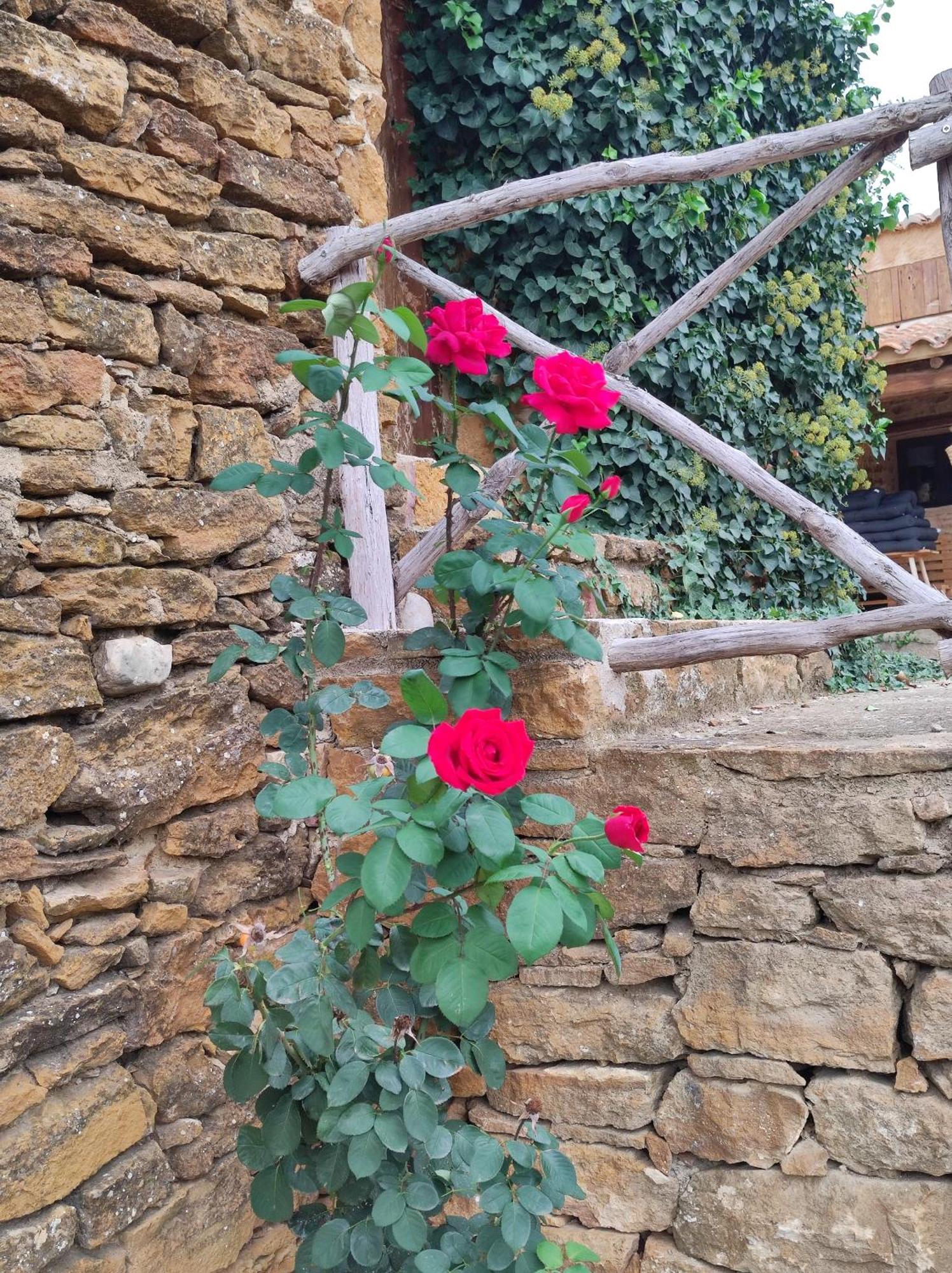 Masia Riu Dels Arbres Benassal Exteriér fotografie